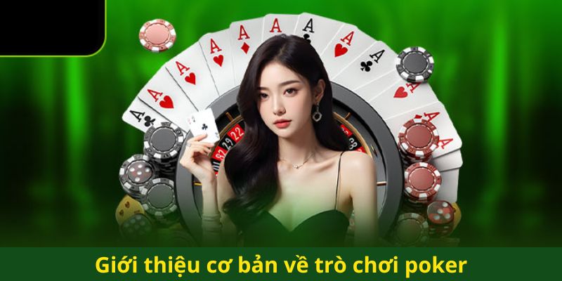 Sơ bộ cơ bản về trò chơi Poker